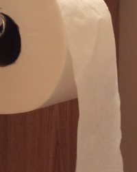 Optimal Toilet Paper Placement