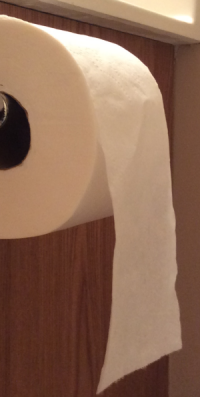 Optimal Toilet Paper Placement